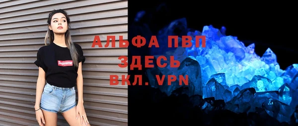 прущий лед Алзамай