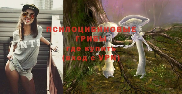дурь Алексеевка