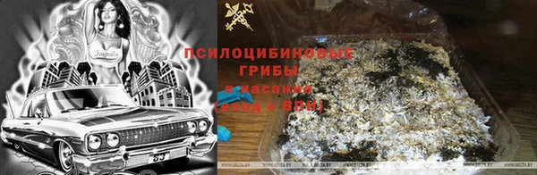 дурь Алексеевка
