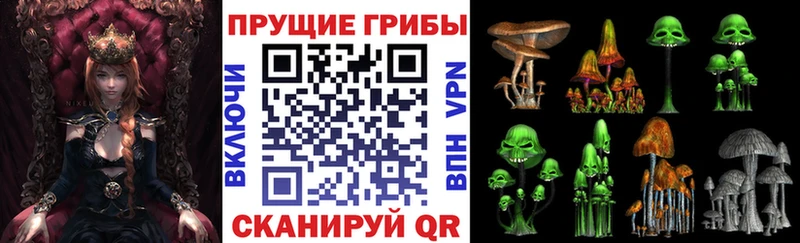 Галлюциногенные грибы Psilocybe где можно купить Тихвин