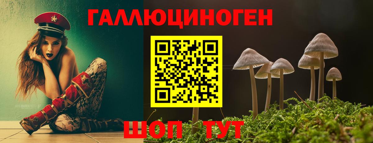 Галлюциногенные грибы MAGIC MUSHROOMS Тихвин