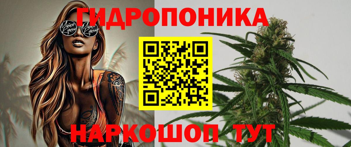 Бошки марихуана White Widow Тихвин